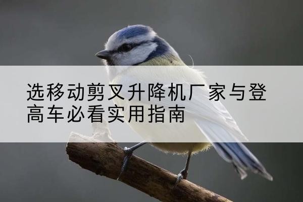 杭锦旗电动升降机厂家-选移动剪叉升降机厂家与登高车必看实用指南