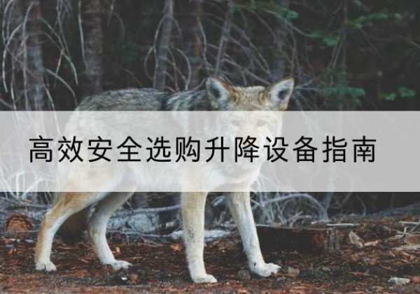 杭锦旗升降货梯厂家推荐-*安全选购升降设备指南