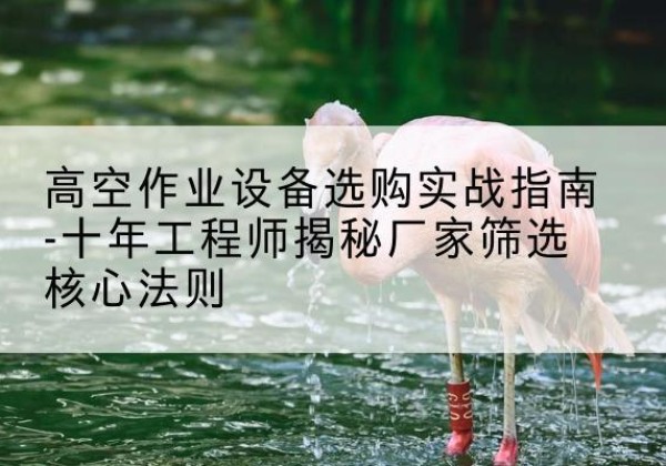 杭锦旗剪叉式升降机厂家-高空作业设备选购实战指南-十年工程师揭秘厂家筛选核心法则